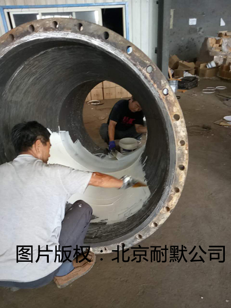 KNM17在脫硫管道中發揮重要作用 KNM17在脫硫管道中發揮重要作用